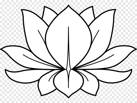 Тюдоровская роза символ Англии