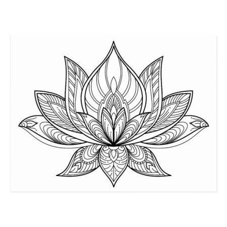 Лотос эскиз линии