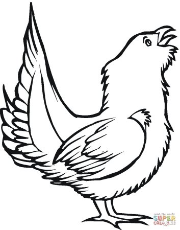 Глухарь птица раскраска