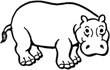 Бегемот раскраска для детей