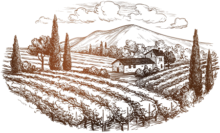 Виноградник Италия пейзаж вектор