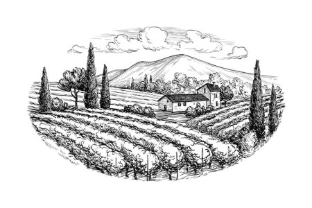 Виноградник гравюра