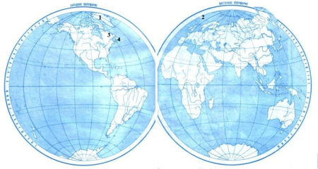 Карта полушарий земли: векторная графика