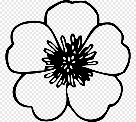 Контур цветка на прозрачном фоне
