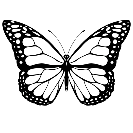 Трафареты бабочки