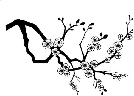 Ветка Сакуры черно белая