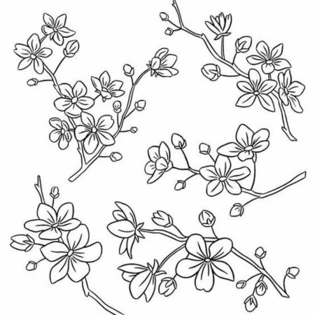 Ветка Сакуры набросок