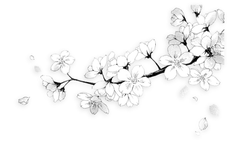 Ветка Сакуры черно белая