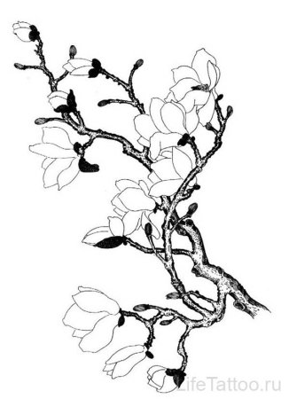 Ветка в графике