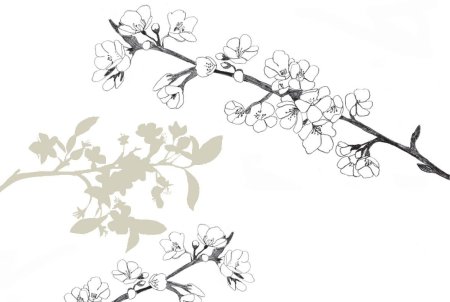 Веточка Сакуры контур