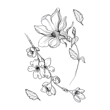 Скетчи цветов