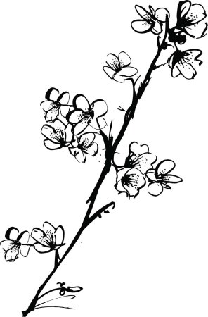 Ветка рисунок