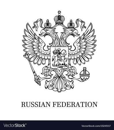 Паспорт рисунок