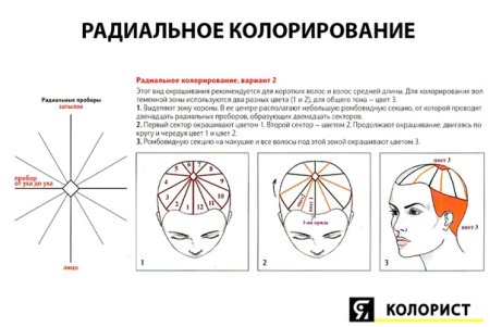 Блочное окрашивание схемы