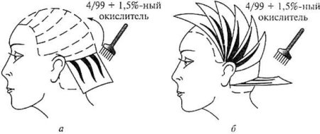 Окрашивание теменной зоны схема
