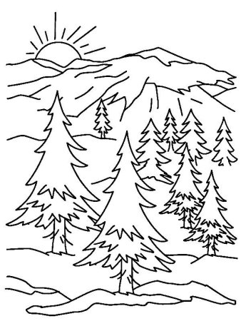 Раскраска леса