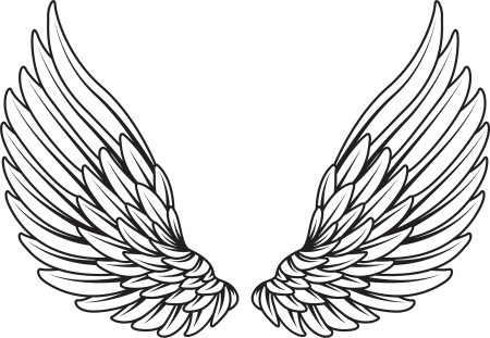 Крылья эскиз