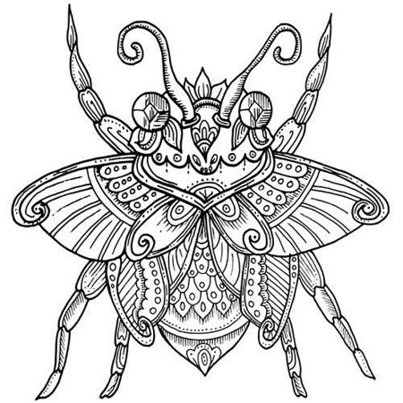 Мандала насекомые