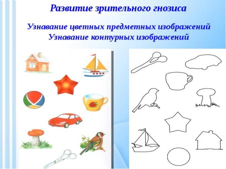 Контурные и цветные изображения предметов