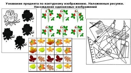 Контурные и цветные изображения предметов
