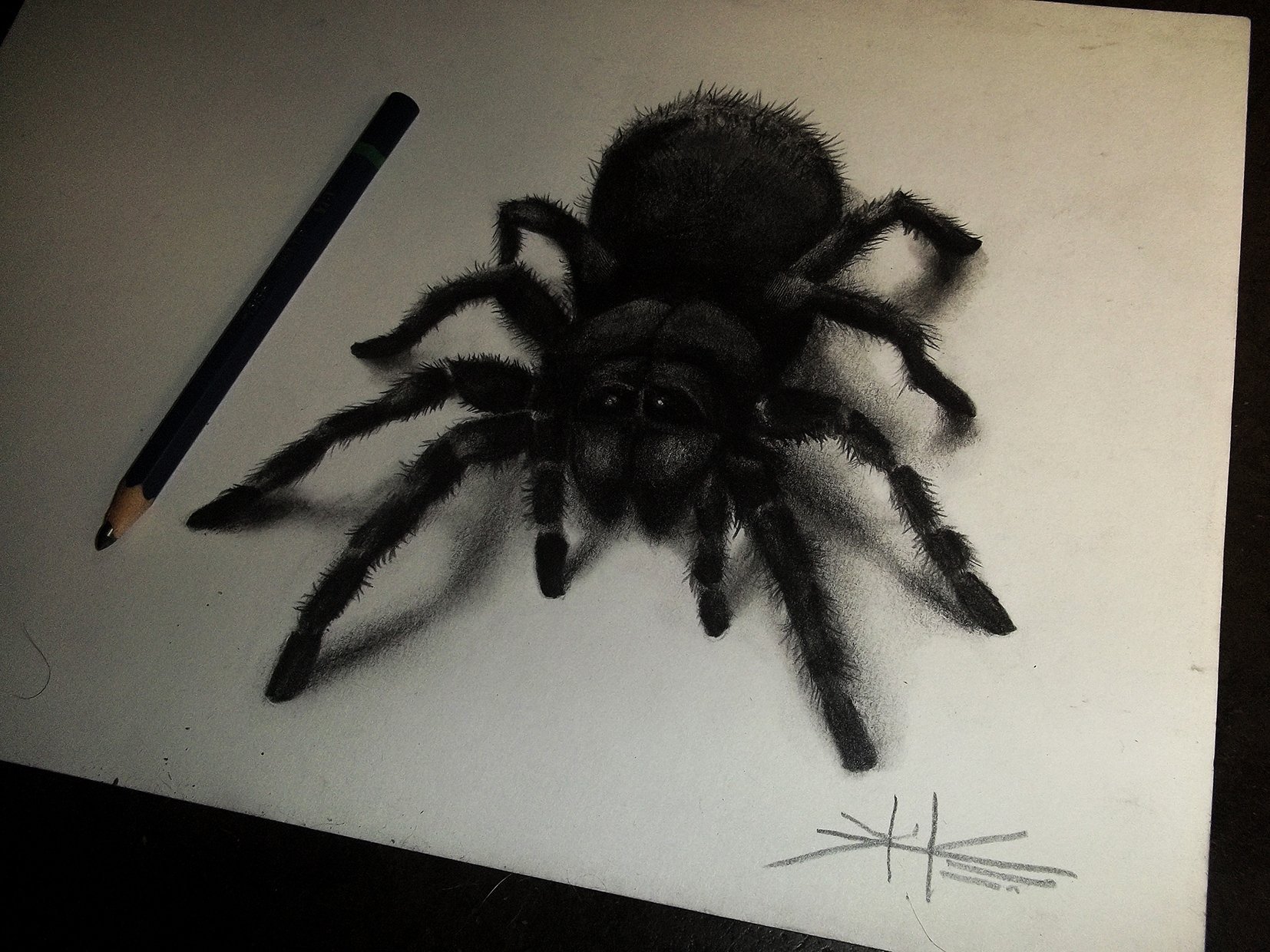 3д паук карандашом