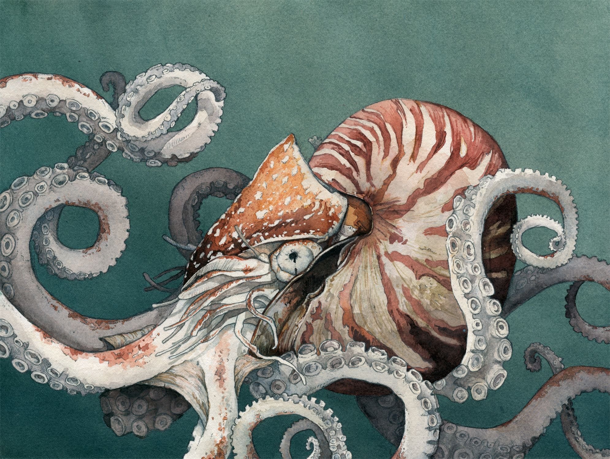 Картина Кевина Слоана осьминог