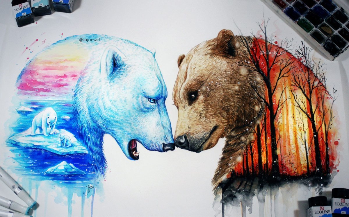 Медведь красками