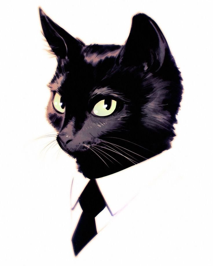 Картинки на аватарку с котом