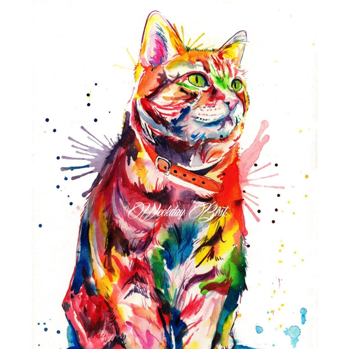 Цветные картинки кошек. Кошка красками. Акварельные кошки. Кот арт. Кот маркерами.