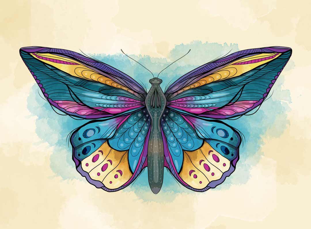 Бабочка иллюстрация