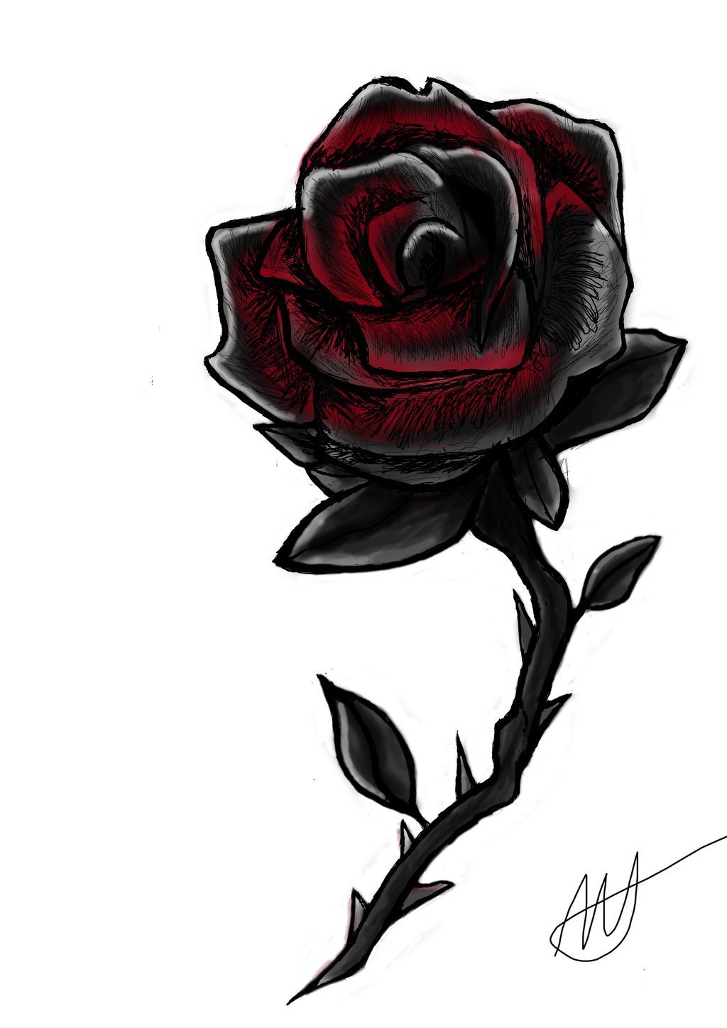 Черно красная роза эскиз