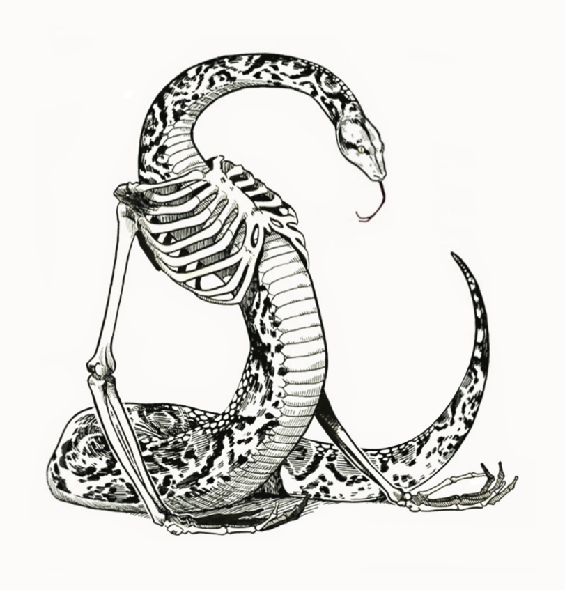 Мужчина рожденный крыса скорпион. Стилизованная змея. Стилизация змеи. Змея эскиз. Змейка тату эскиз.
