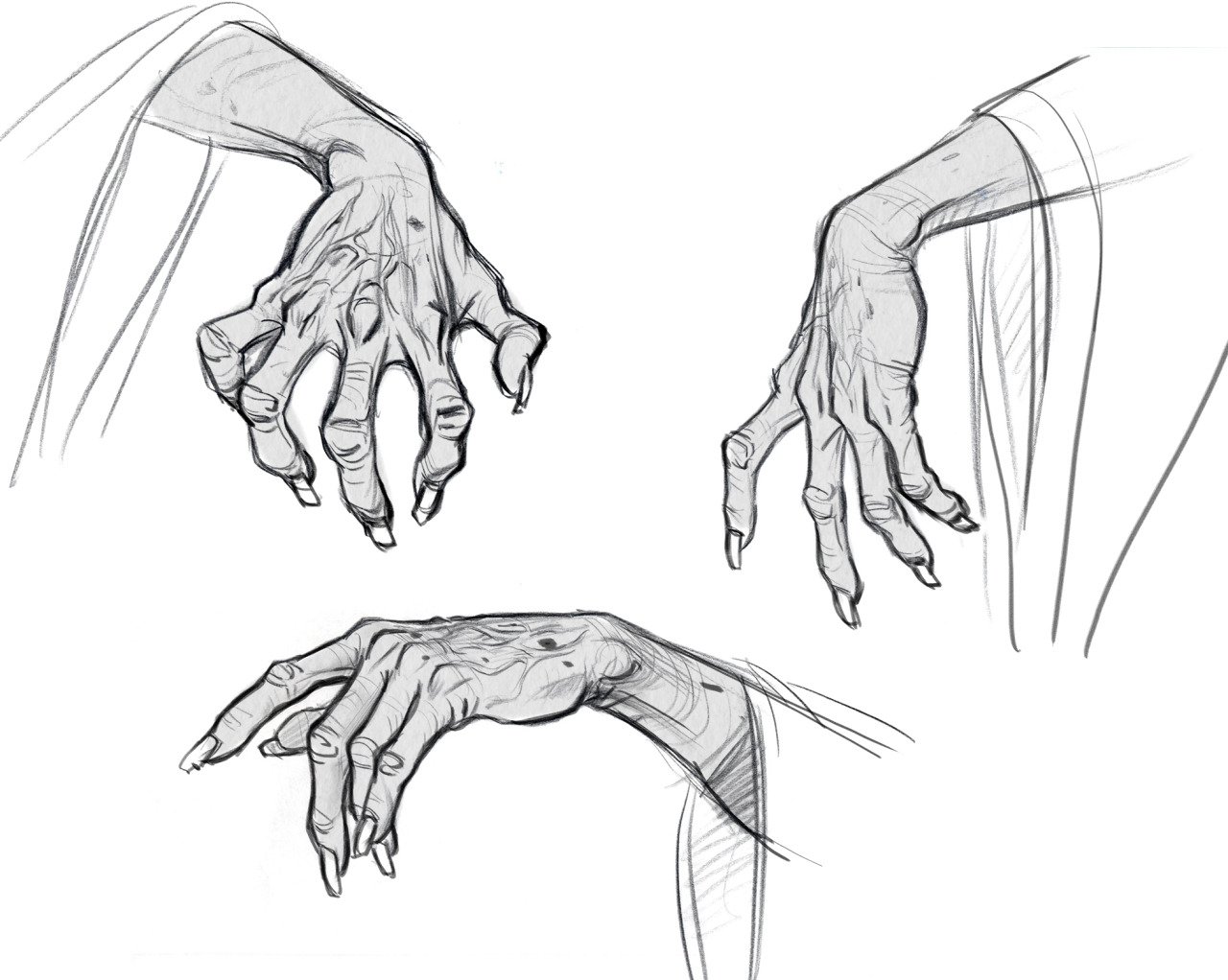 Анатомия рук для рисования