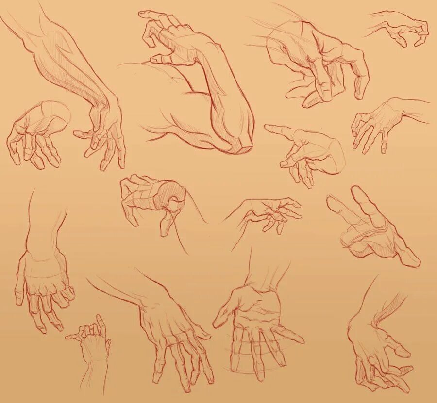 Референсы рук рисунок. Кисть руки. Позы кистей рук. Руки референсы для рисования. Рука нарисованная.