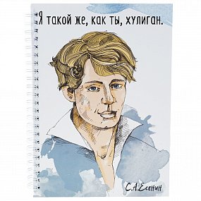 Тетради с писателями