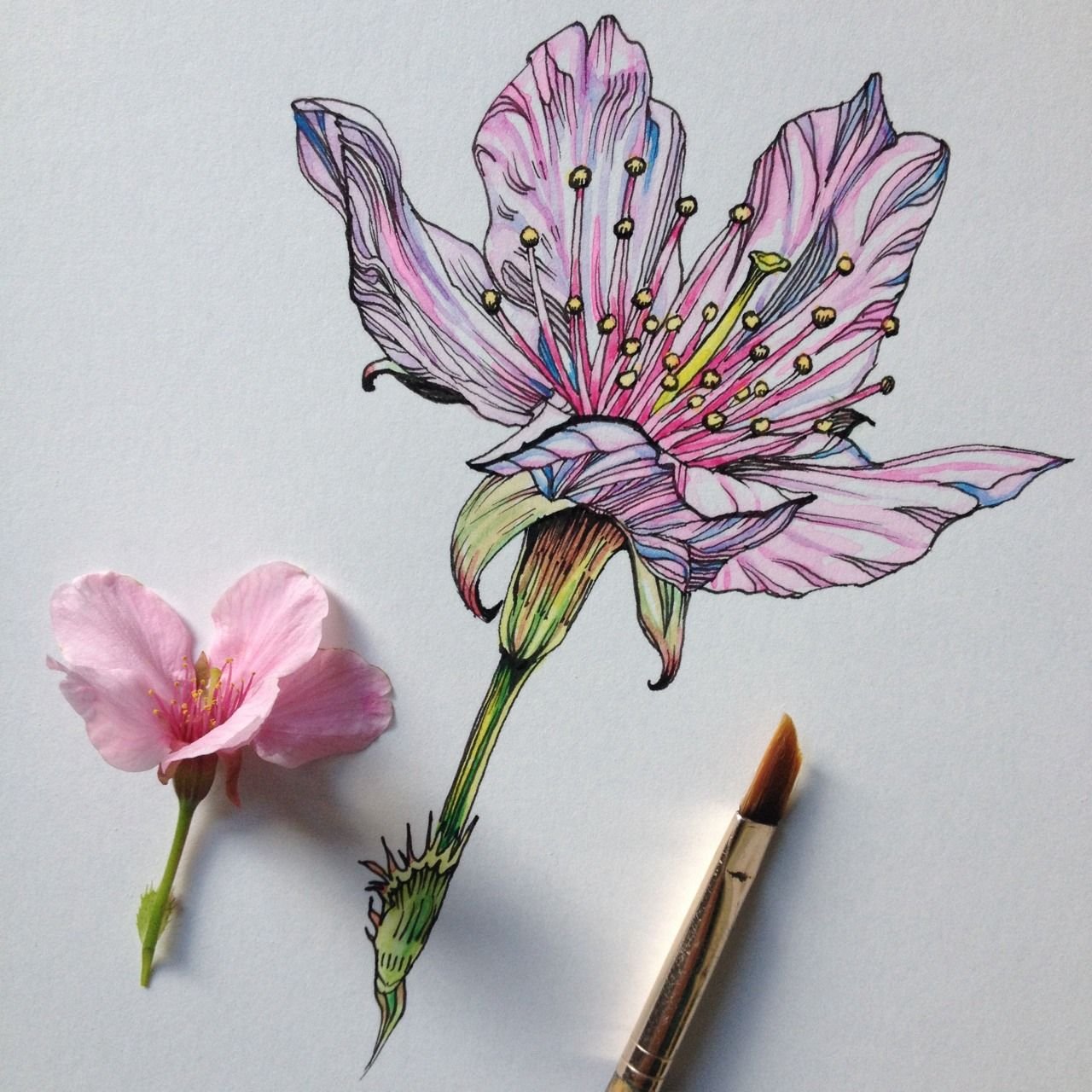 Цветы акварелью и ручкой