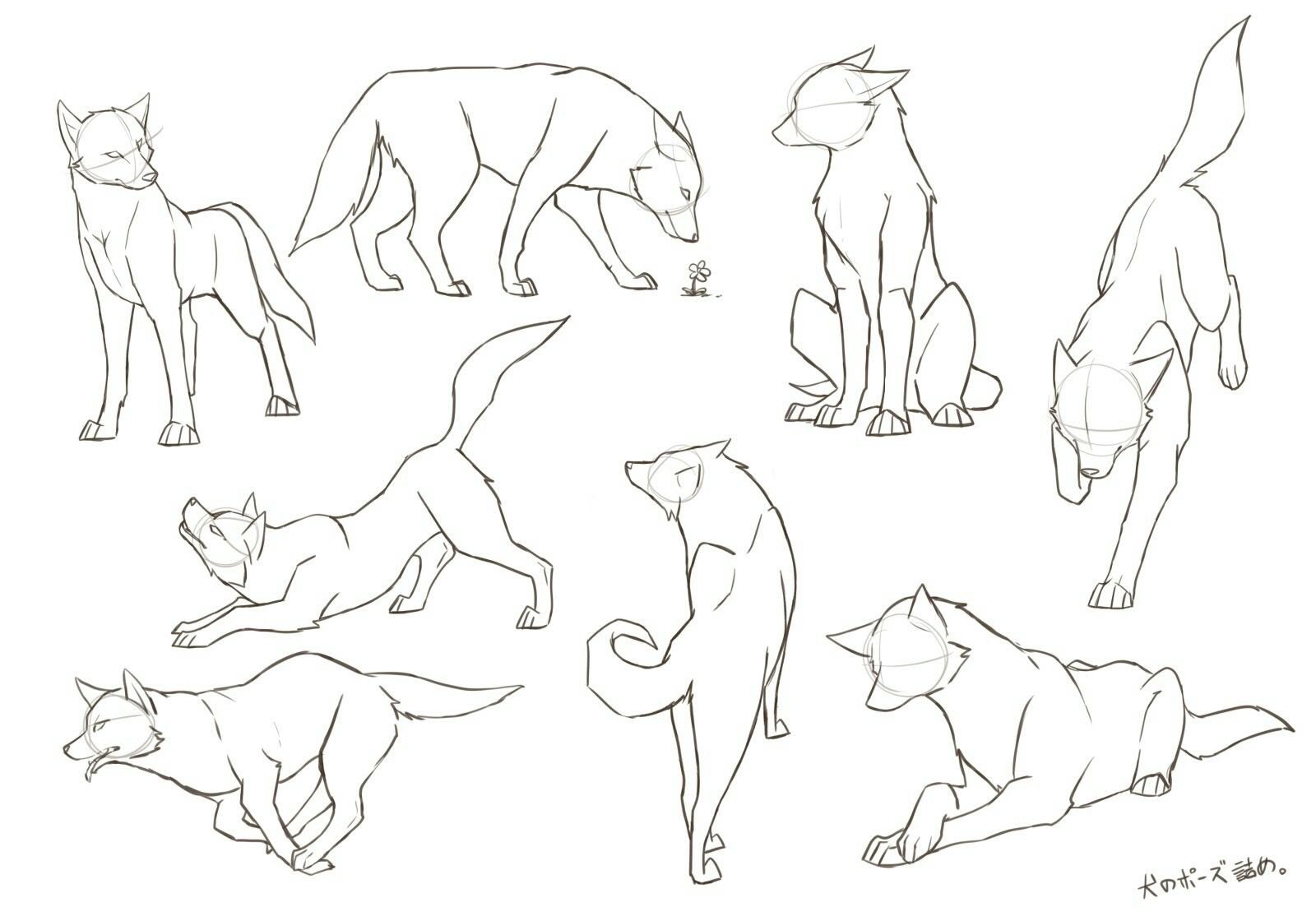 Позы собак для рисования