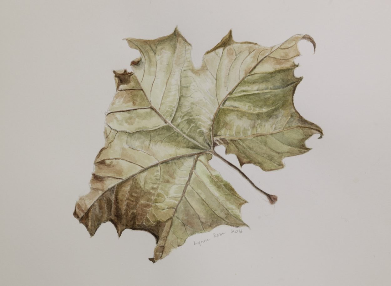Листья акварель