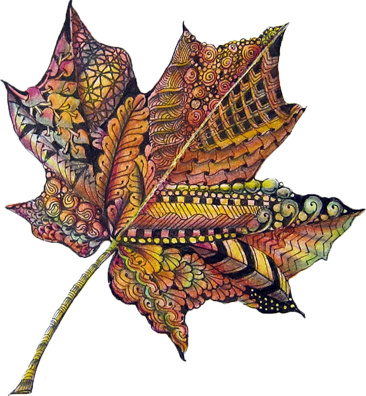 Осенние листья Зентангл. Кленовый лист Зентангл. Декоративные листья. Осенние листья.