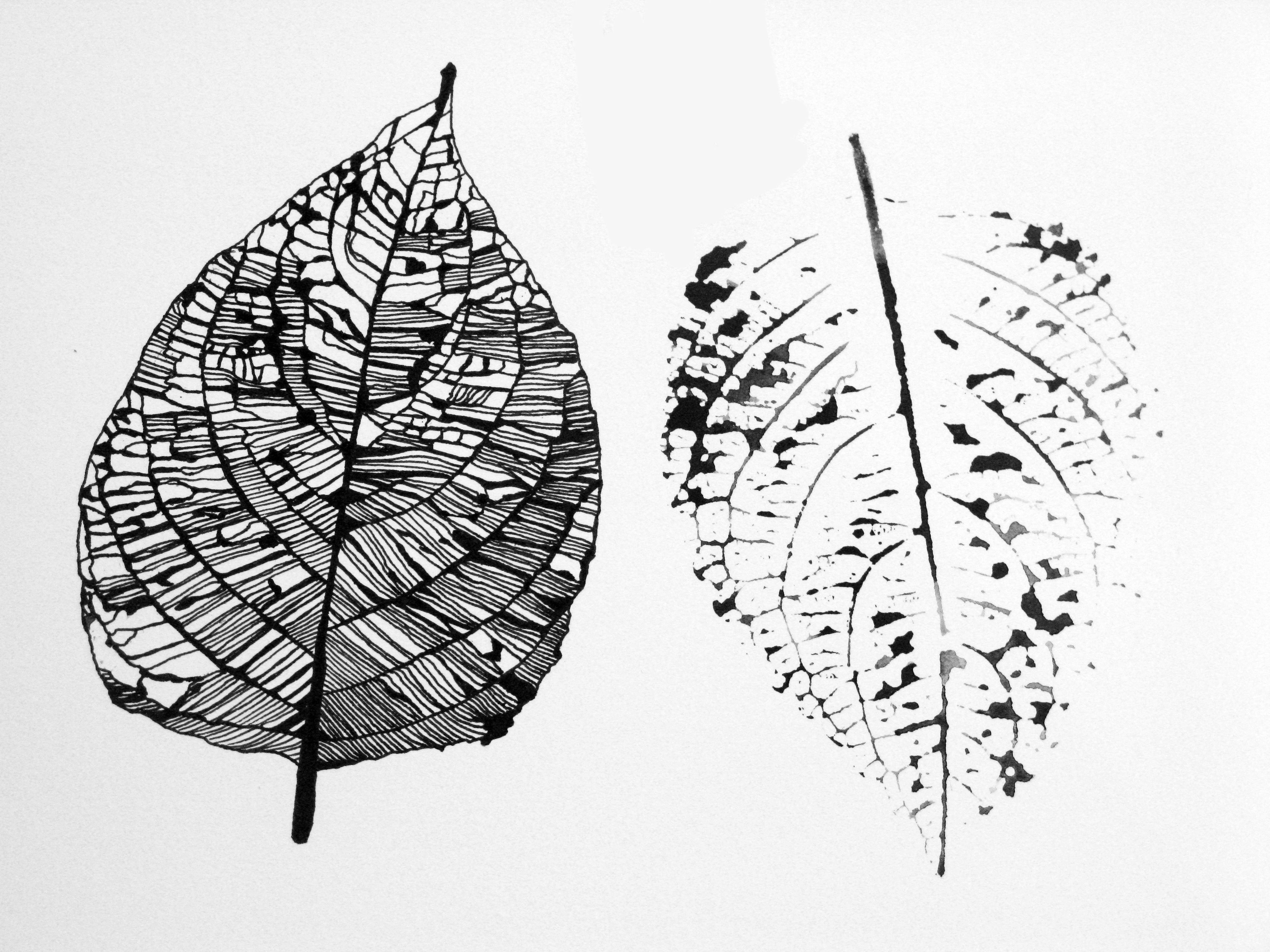 Стилизованные листья