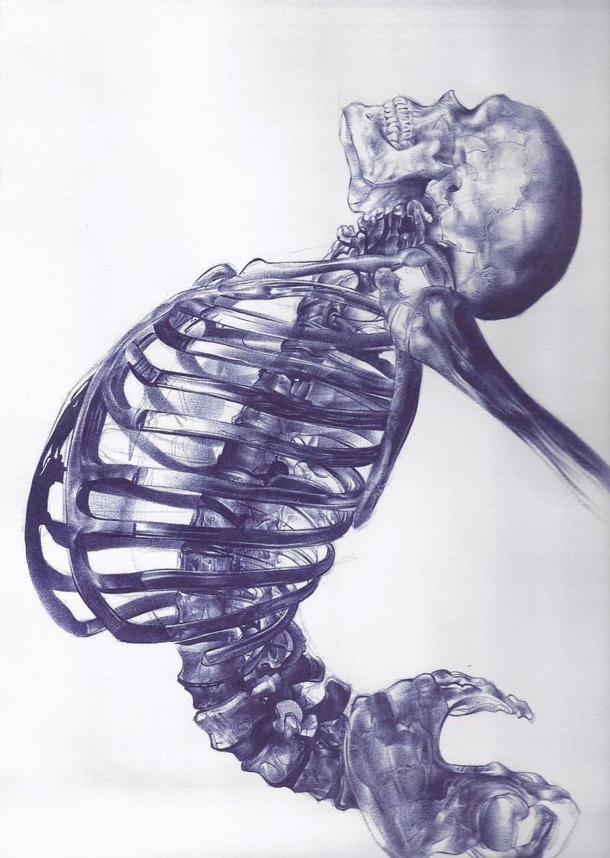 Кости человека арт