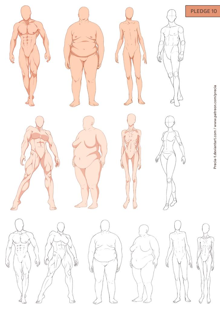 Тип рисования человека. Анатомия фигура человека референс. Человек в полный рост референс анатомия. Мужская анатомия референс в полный рост. Тело человека в полный рост референс.