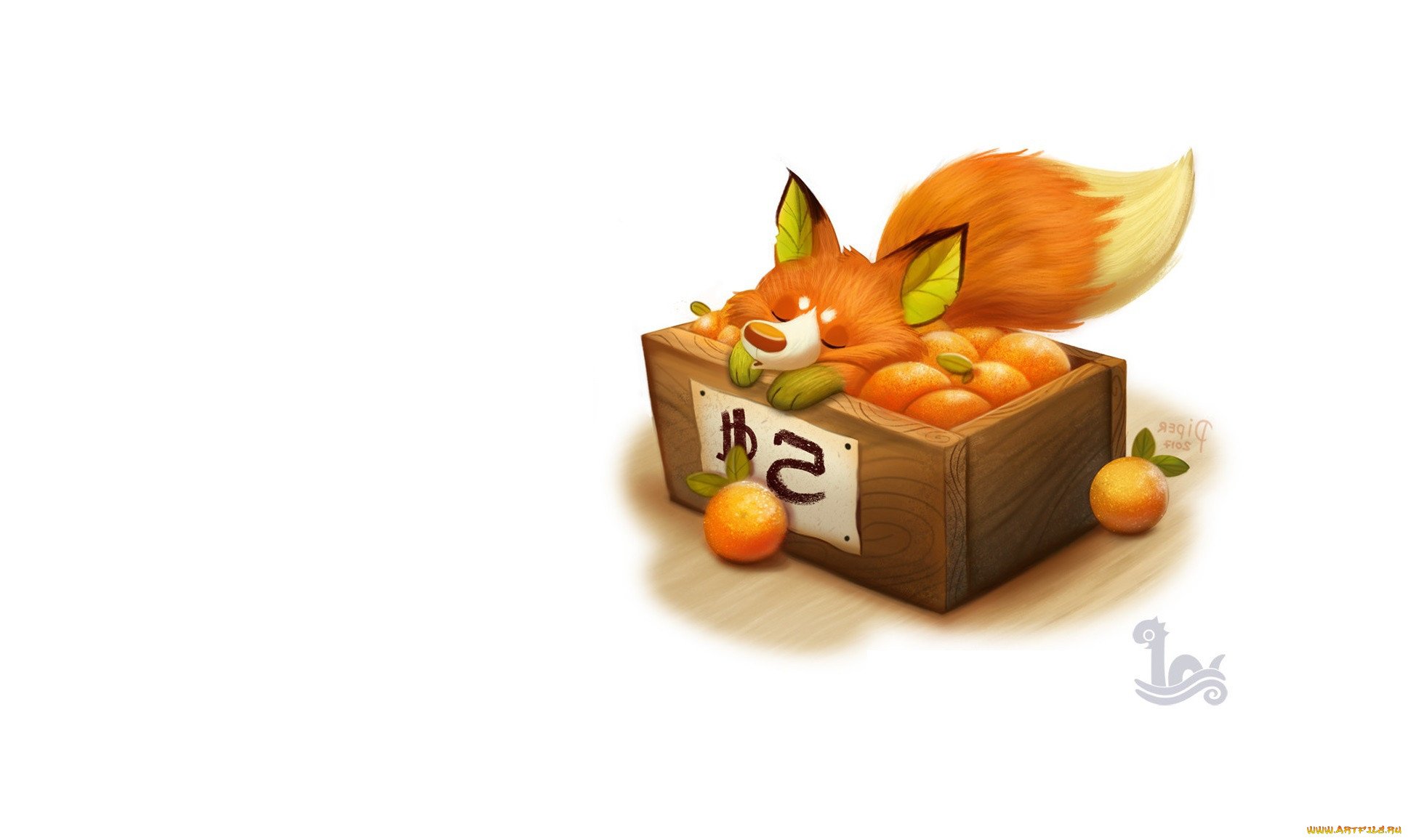 Мандаринов лиса. Лиса и мандарины. Лиса в коробке. Лиса в коробочке. Лиса арт.