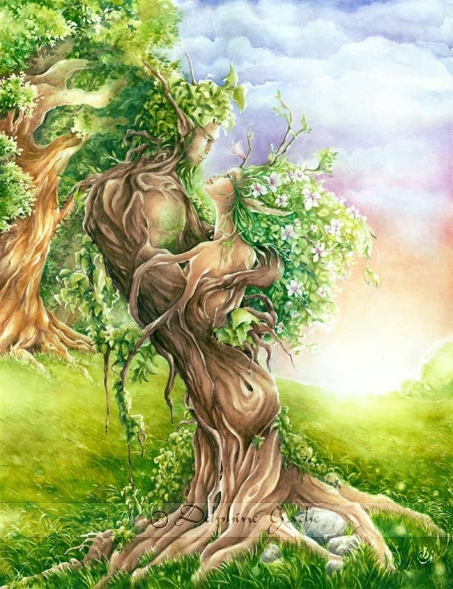 Человек обнимает дерево рисунок