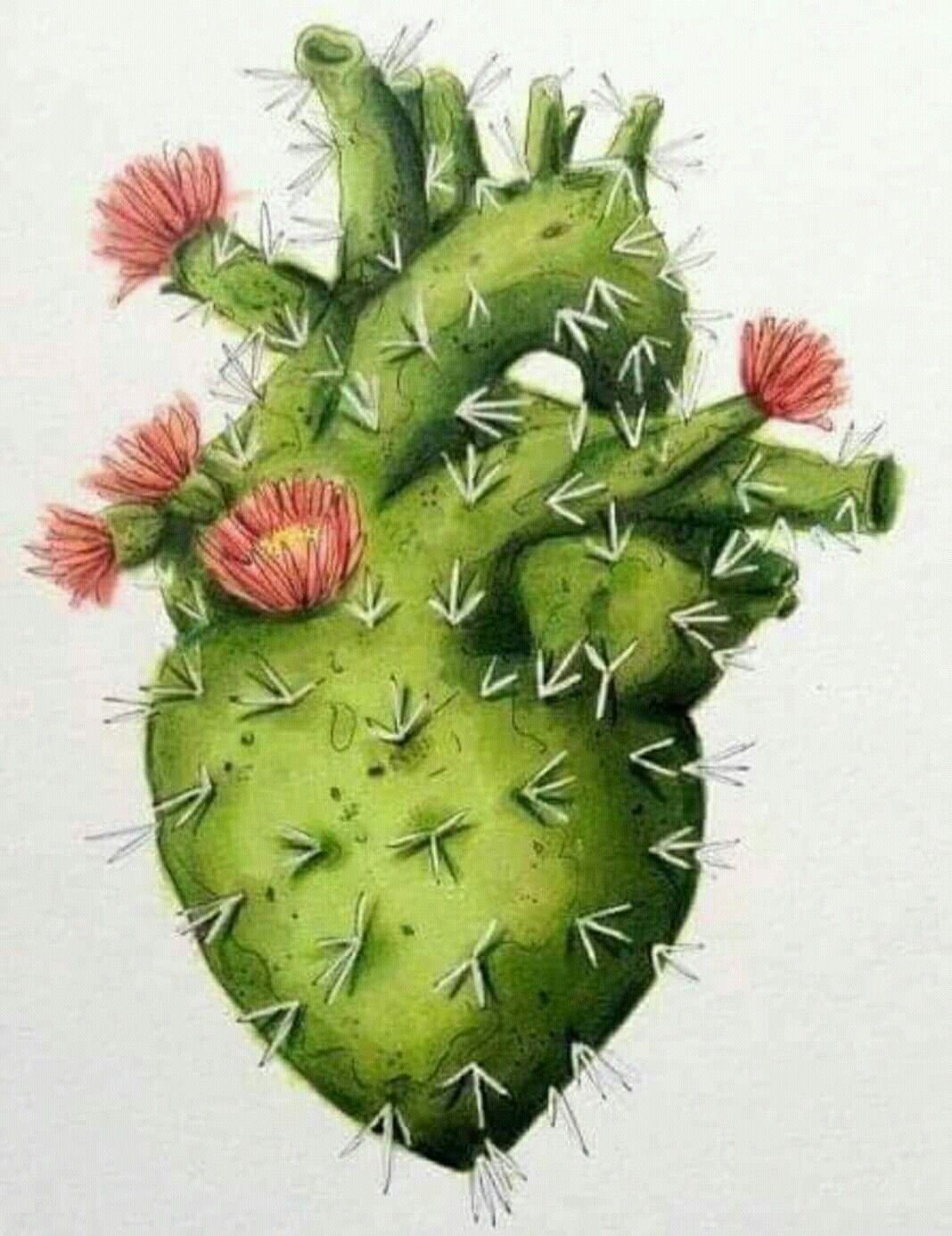 Кактус сердце