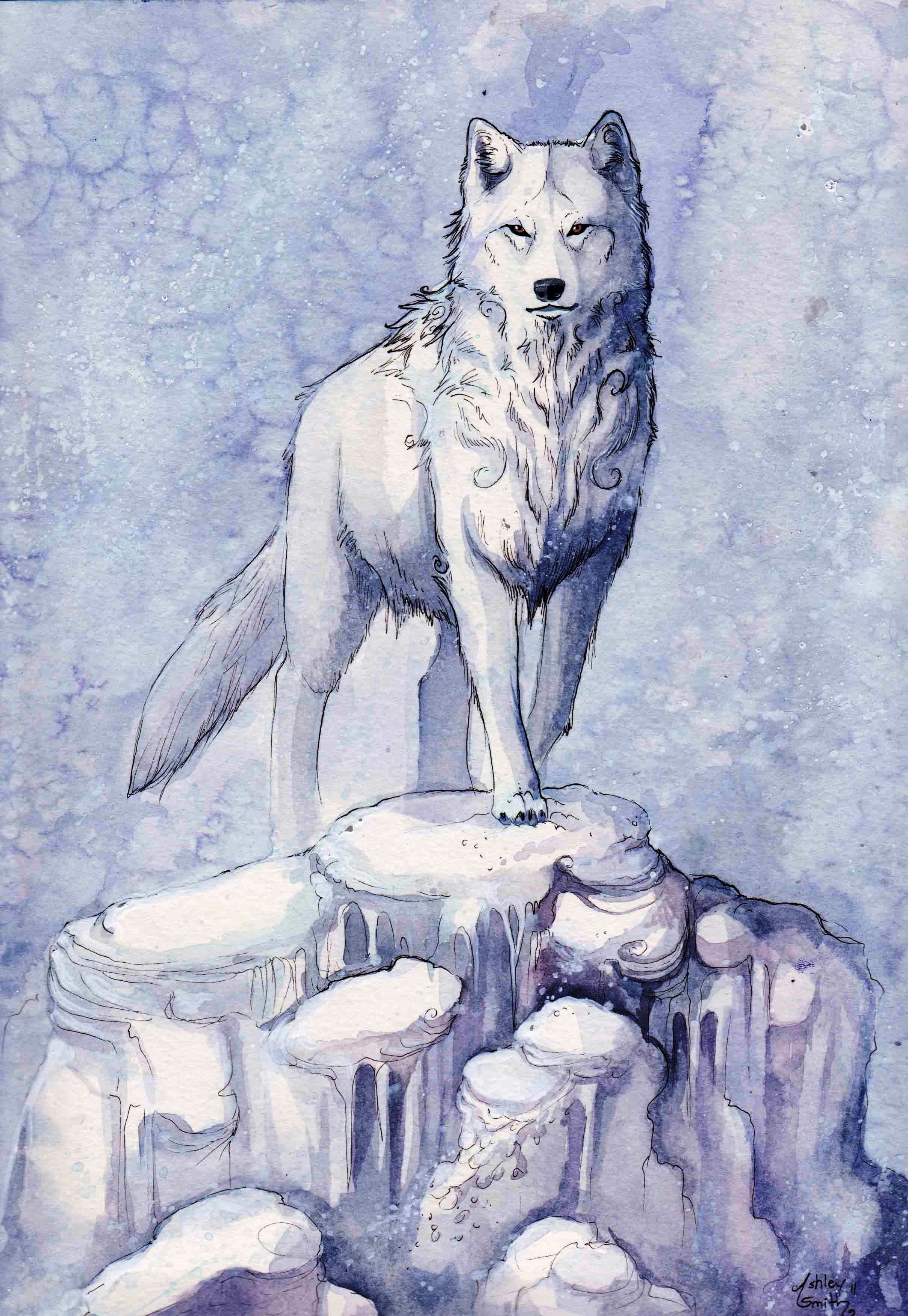 Волк сидит арт