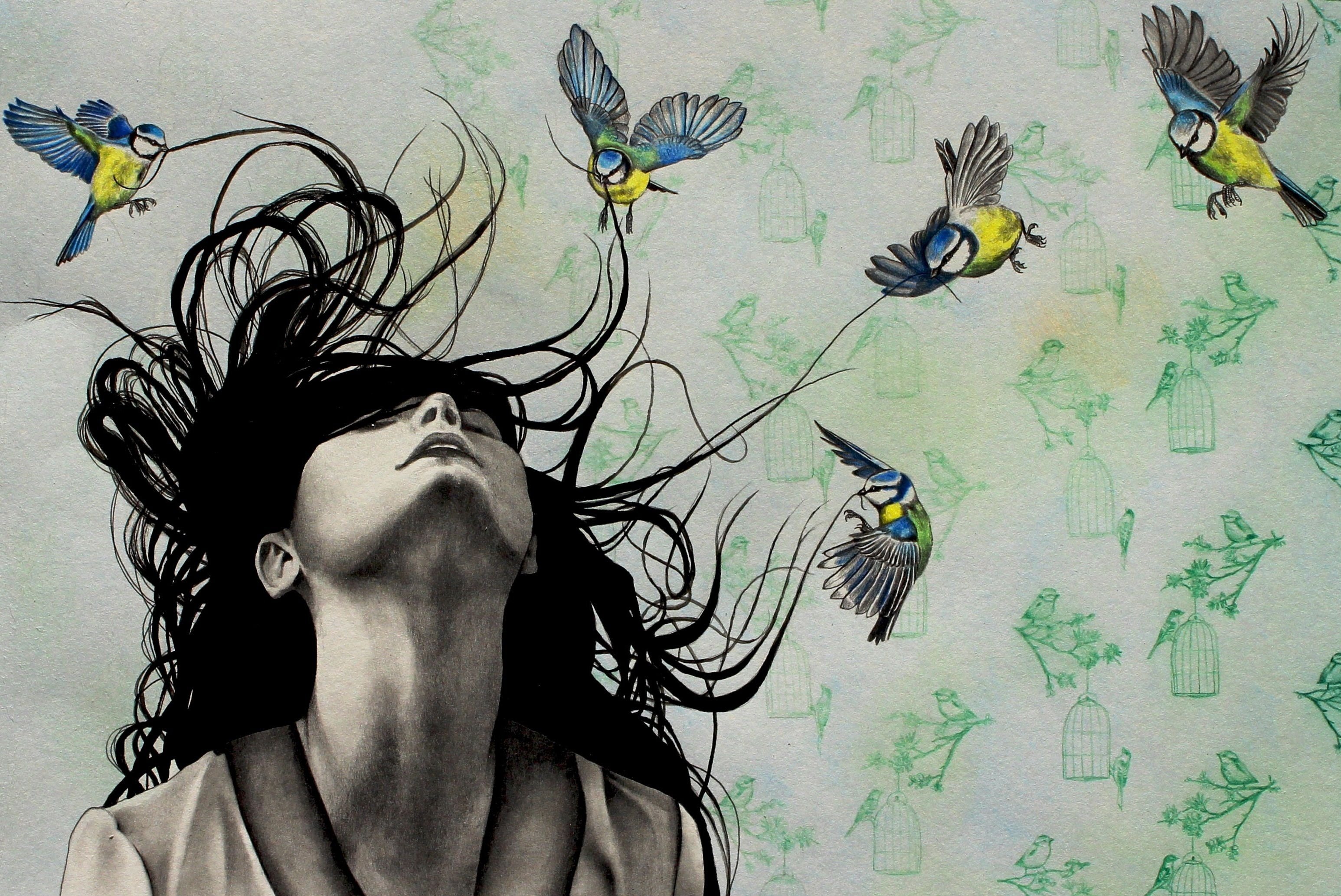 Рисунки художницы Kate Powell