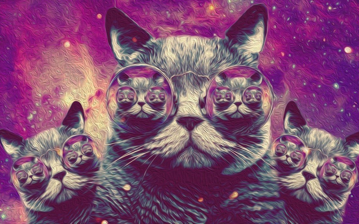 Кот в очках космос