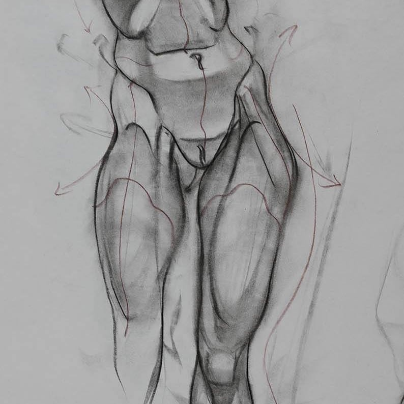 Анатомические Наброски. Скетчи женского тела. Тело карандашом. Набросок женского тела.