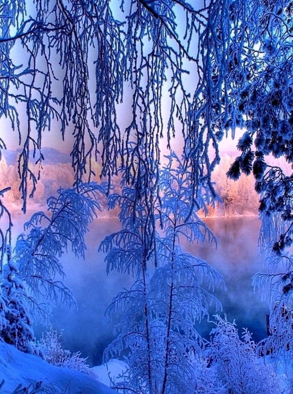 зима картинки красивые на телефон